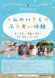 水族館フライヤー